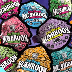 TRE HOUSE- Extra Strength Mushroom Gummies-10ct